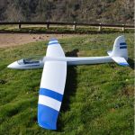 Glider_it Stingray ARF 2 colour