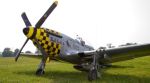 CARF P51-Mustang 2.5m  Silver