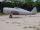 CARF P-47 Razorback 2.80mt