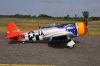 CARF P-47 Bubble Top 1:4.5  2,80mt All Silver