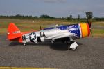 CARF P-47 Bubble Top 1:4.5  2,80mt All Silver