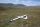 Glider_it Prismaray ARF 2 colours