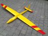 Glider_it Stingray ARF OD 2 colori